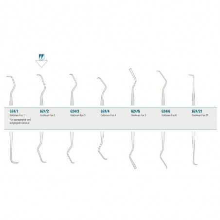 Curette Goldman-Fox 2