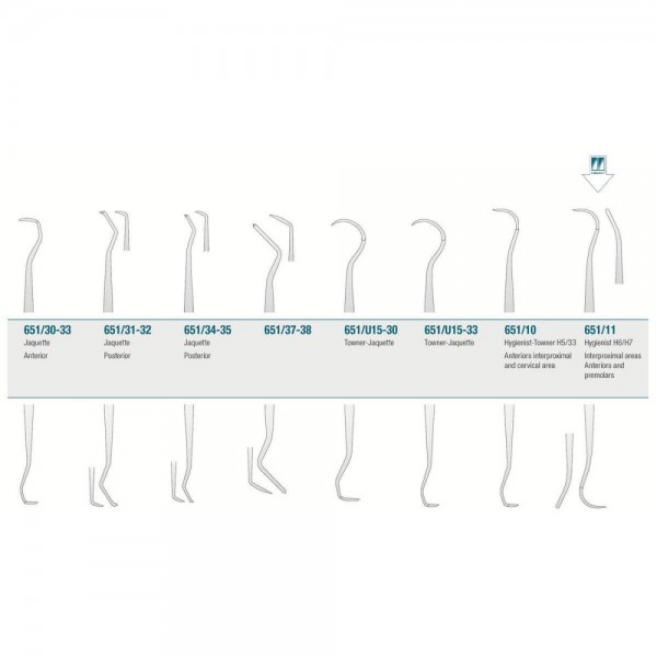 Scaler Hygienist H6/H7