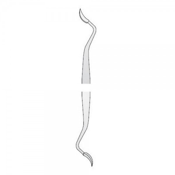 Scaler Taylor 2/3