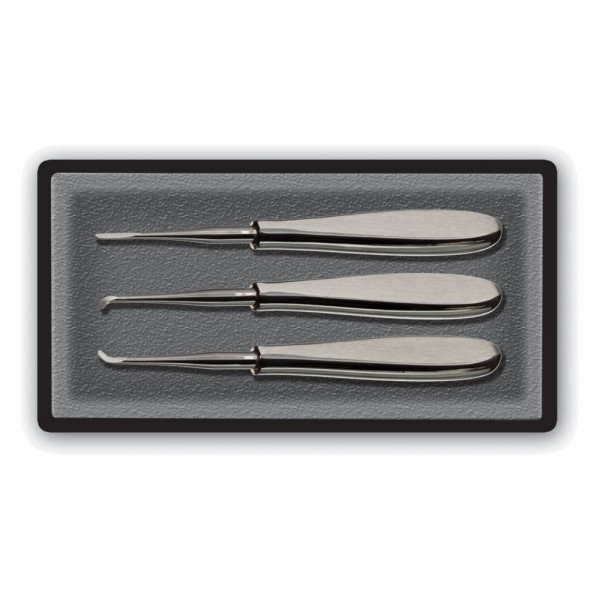 Dental Elevator Set, Warwick James, 3 Pcs