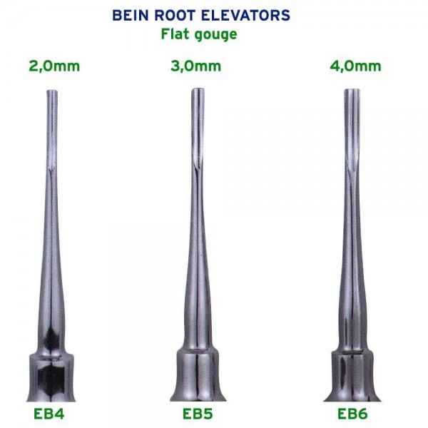 Dental Root Elevators Set, 3 Pcs, Bein Flat Gouge 2.0mm, 3.0mm, 4.0mm