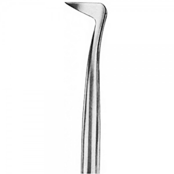 Root Elevator Seldin Right, Large Tip