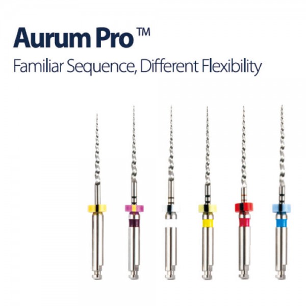 Familiar Sequence File, Aurum Pro Assorted 21mm