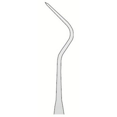 Explorer Anatomic N.10
