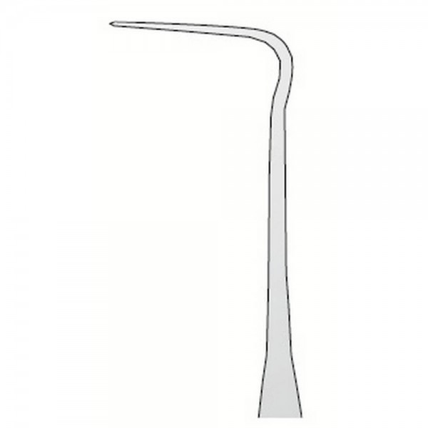 Explorer Anatomic N.11