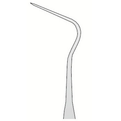 Explorer Anatomic N.12