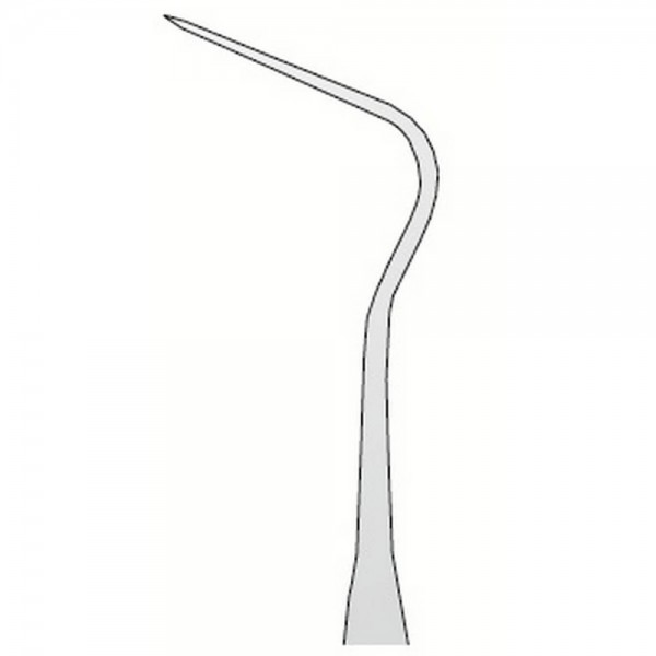 Explorer Anatomic N.12