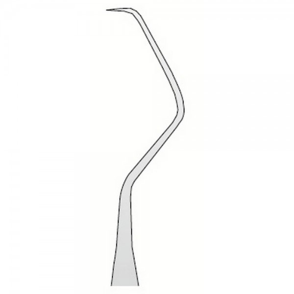 Explorer Anatomic N.17A