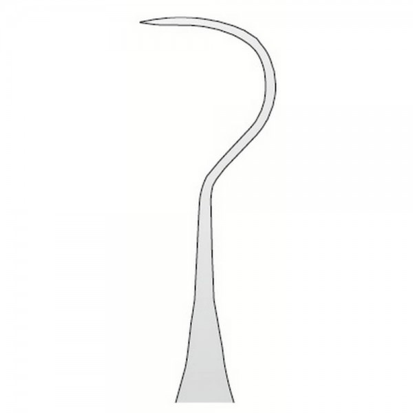 Explorer Anatomic N.23