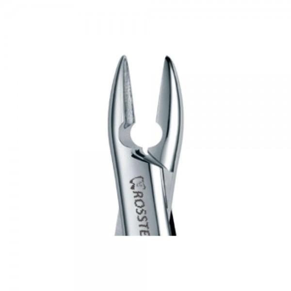 Dental Extraction Forceps 1, Standard Handle