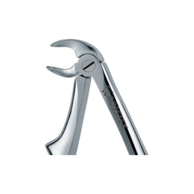 Dental Extraction Forceps 170, Standard Handle