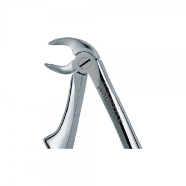 Dental Extraction Forceps 170, Standard Handle