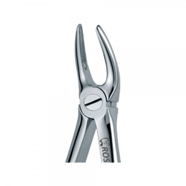 Dental Extraction Forceps 30, Standard Handle