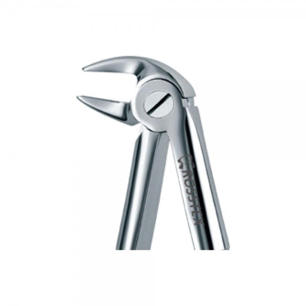 Dental Extraction Forceps 33A, Standard Handle