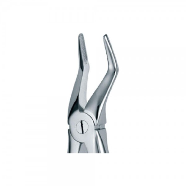 Dental Extraction Forceps 51A, Standard Handle