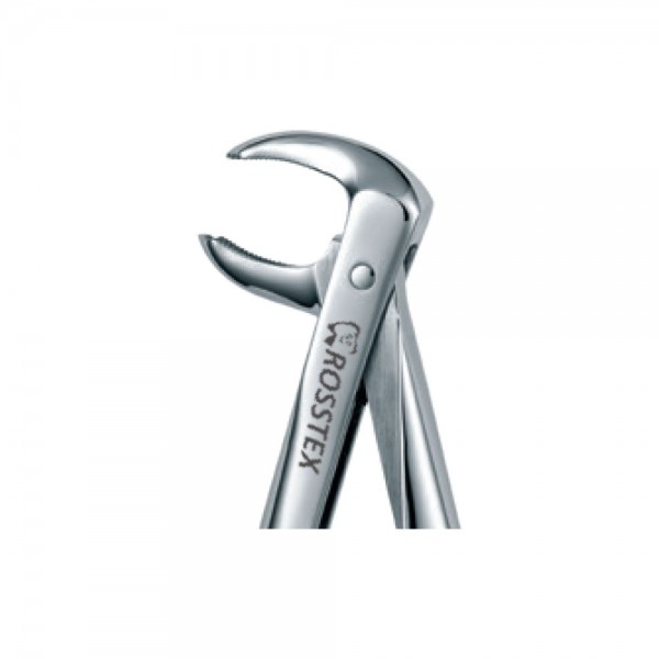 Dental Extraction Forceps 73, Standard Handle