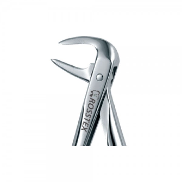 Dental Extraction Forceps 74, Standard Handle