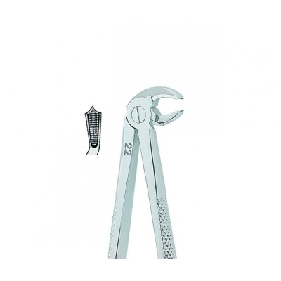 English Extracting Forceps No. 22