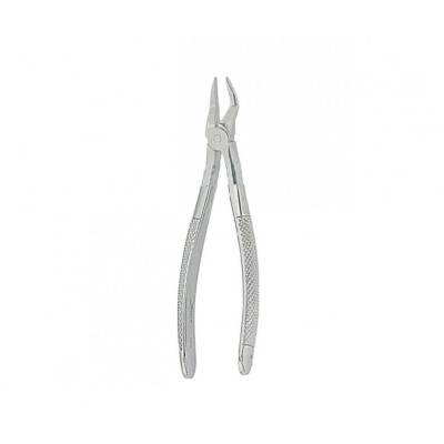 English Extracting Forceps No. 39R