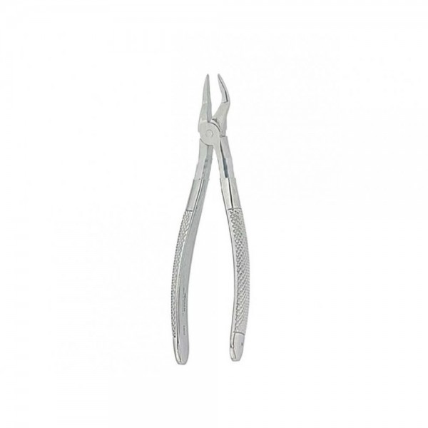 English Extracting Forceps No. 39R