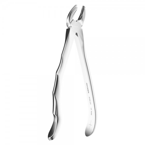 Extracting Automatic Anatomic Handle N.21