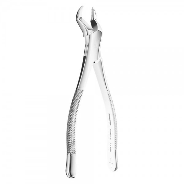Extracting Forceps American N.53L