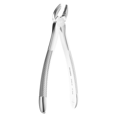 Extracting Forceps N. 21