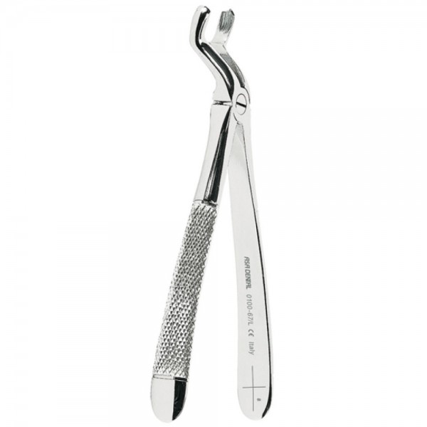 Extracting Forceps N. 67 1/2 L