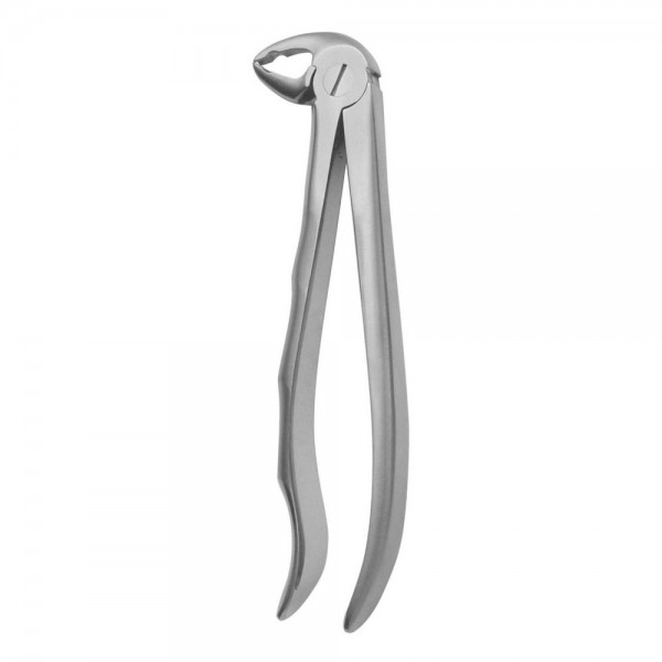 Pedo Tooth Forceps, Squared Beaks, Lower Teeth N.133