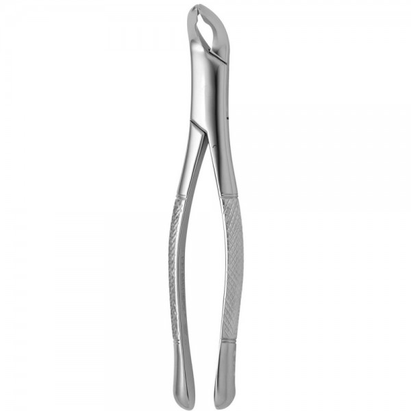 Tooth Forceps American N.203
