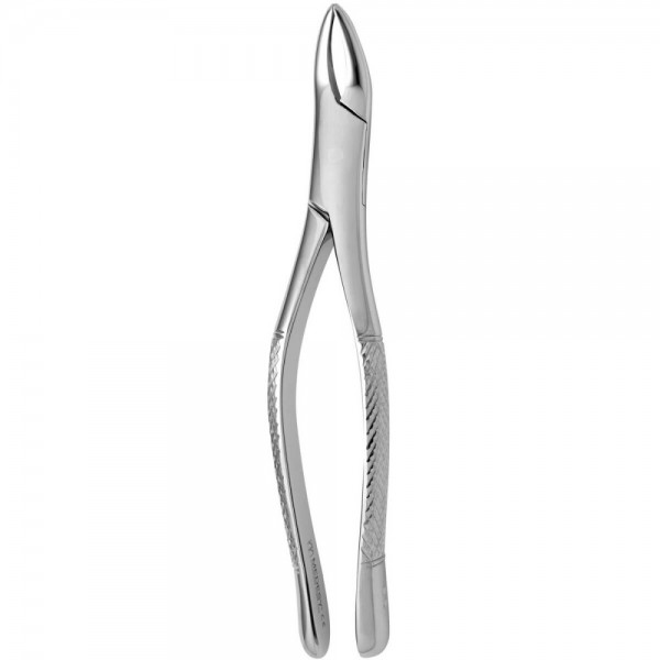 Tooth Forceps American N.69
