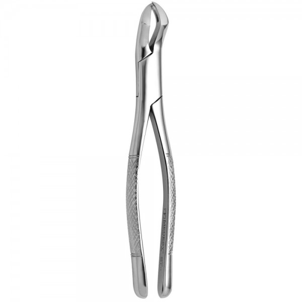 Tooth Forceps American N.88-L