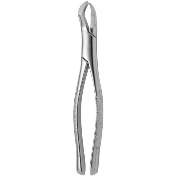 Tooth Forceps American N.88-R