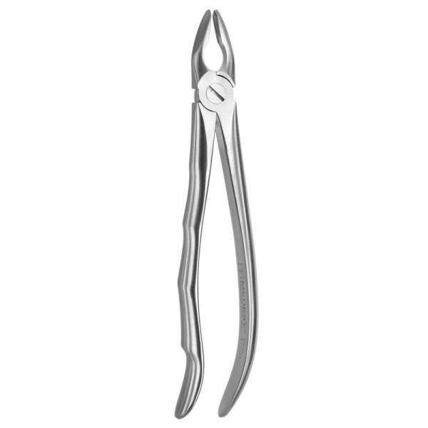 Tooth Forceps Blade Beaks N.1