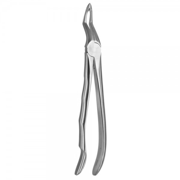 Tooth Forceps Blade Beaks N.51