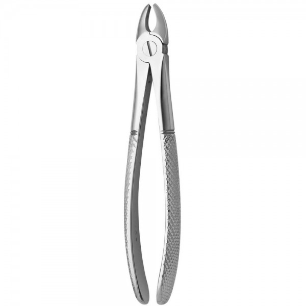 Tooth Forceps N.107