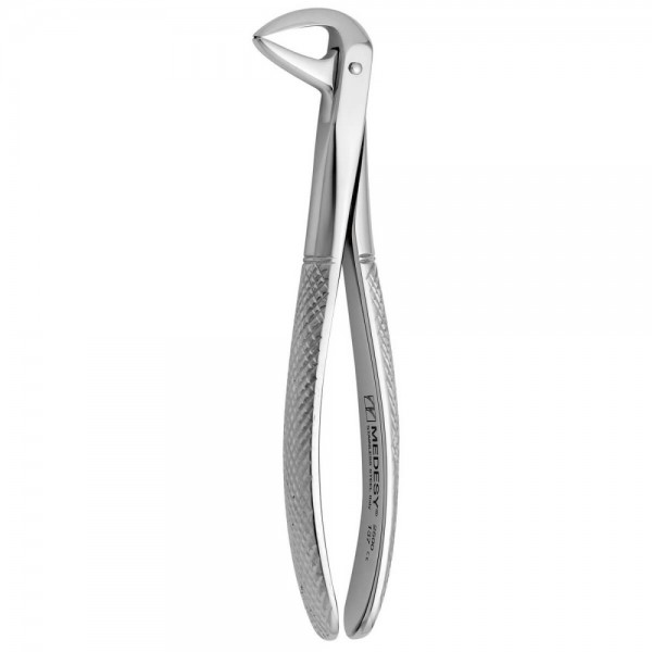 Tooth Forceps N.137