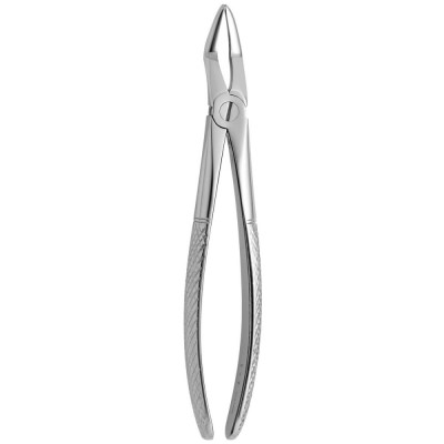 Tooth Forceps N.139