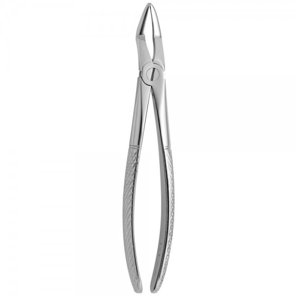 Tooth Forceps N.139