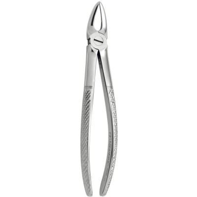 Tooth Forceps N.147