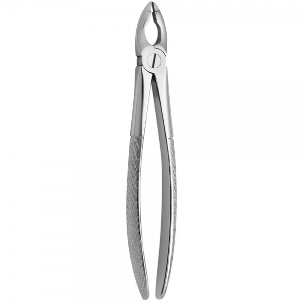 Tooth Forceps N.180