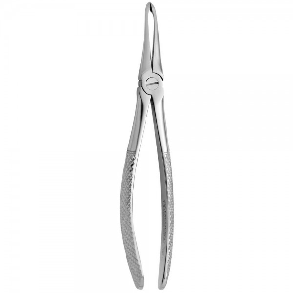 Tooth Forceps N.190