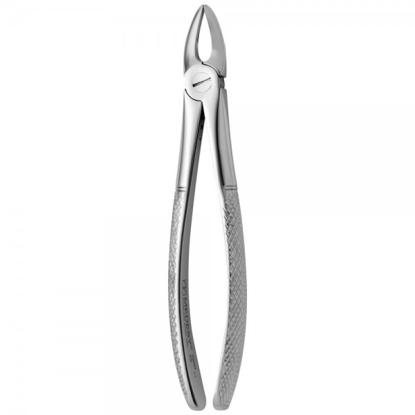 Tooth Forceps N.29