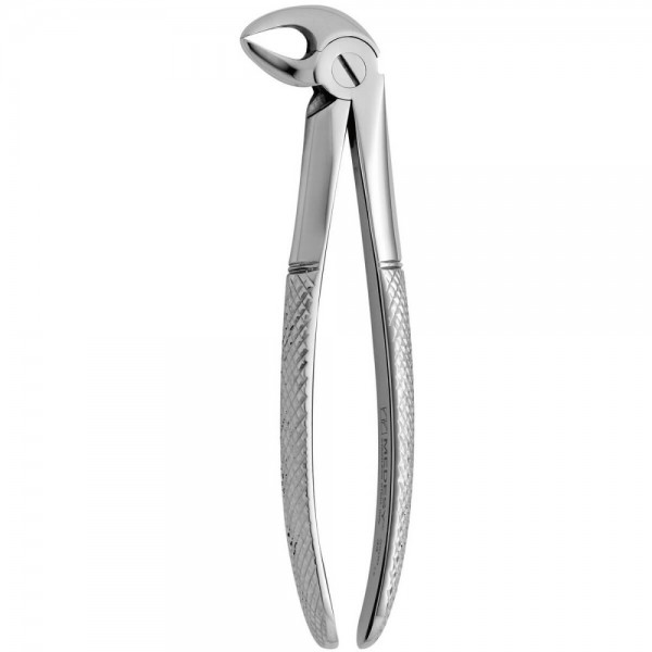 Tooth Forceps N.33