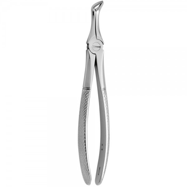 Tooth Forceps N.46