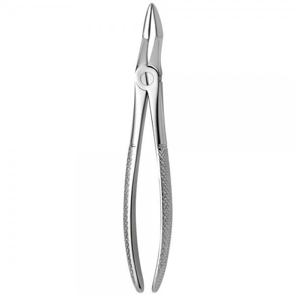 Tooth Forceps N.51