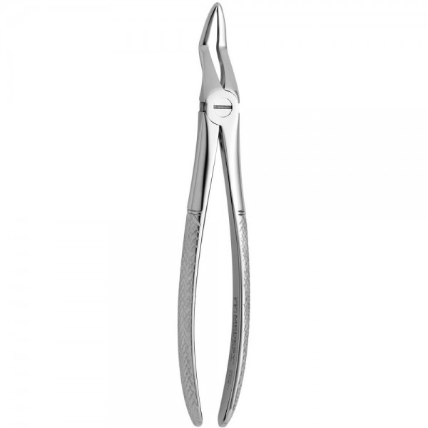 Tooth Forceps N.51-A
