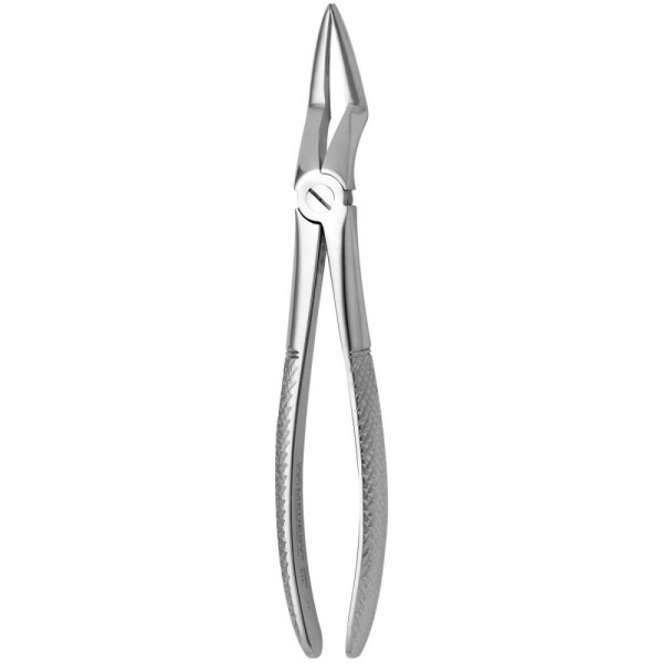 Tooth Forceps N.51-L