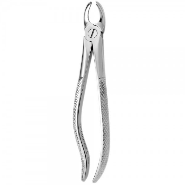 Tooth Forceps N.97