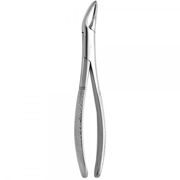 Tooth Forceps Witzel N.223